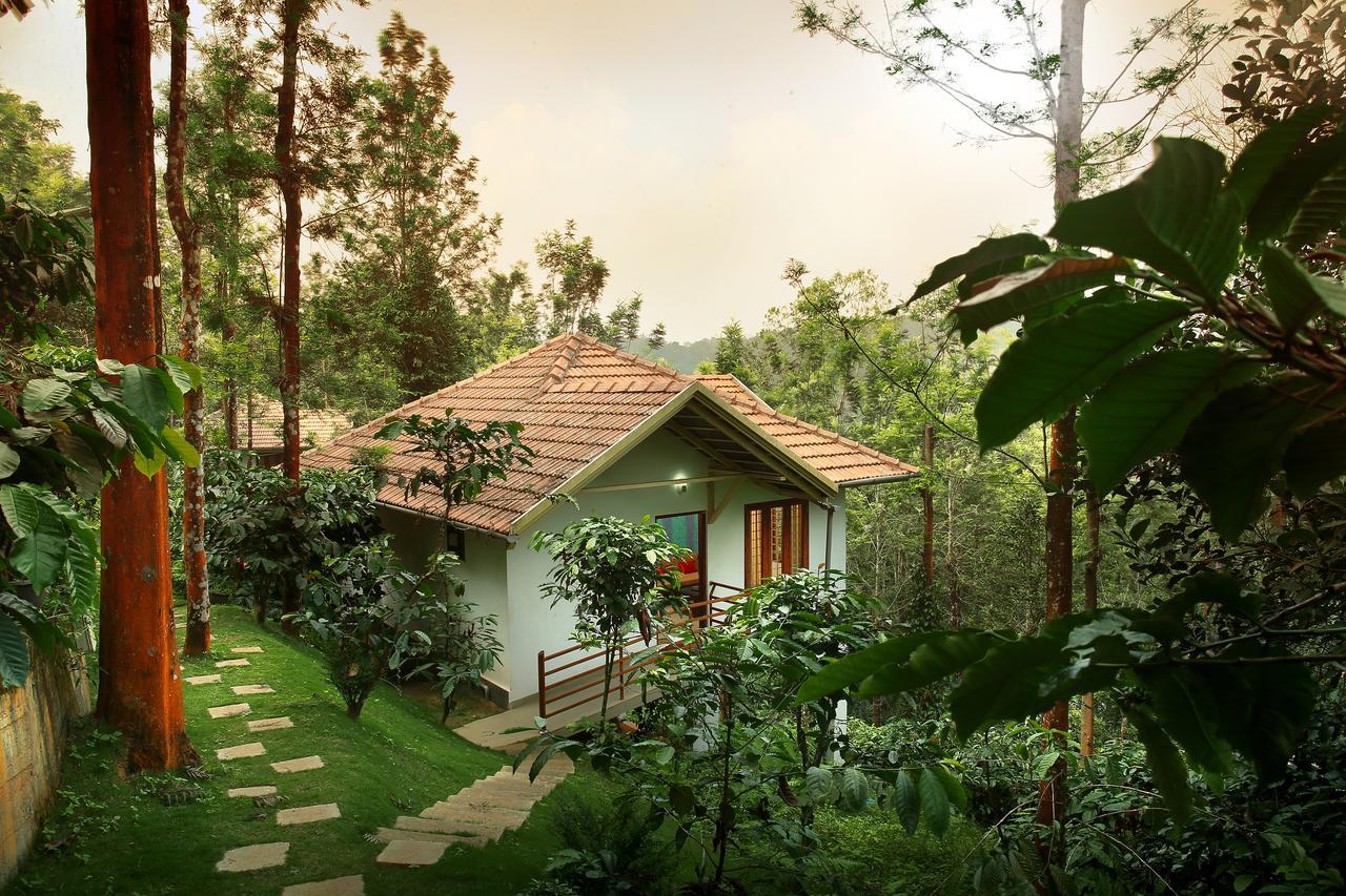 Peter'S Coffee Creek Nature Resort Meppādi Exteriör bild